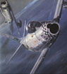 PAF paintings
